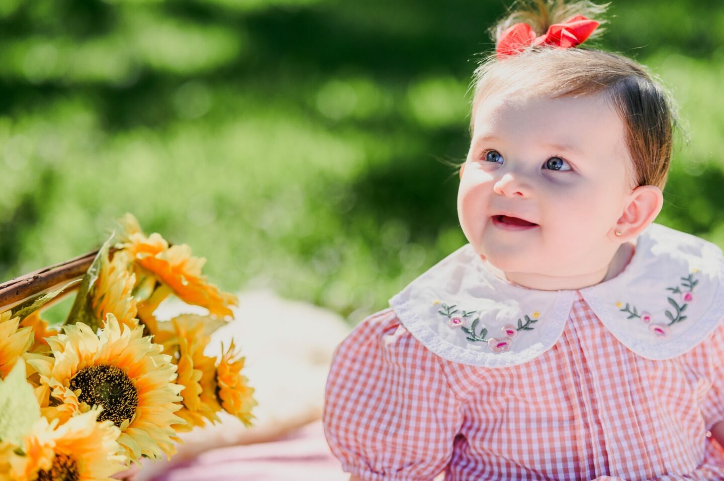 Ensaio de Acompanhamento no Sítio em Eldorado do Sul