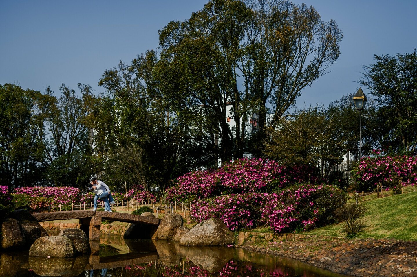 41 Lugares para o Seu Pré-Wedding em Porto Alegre